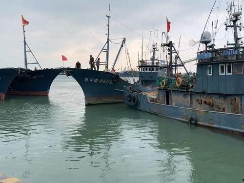 爆料渔船视频大全下载免费,免费下载渔船视频大全,尽享海洋魅力 第2张 爆料渔船视频大全下载免费,免费下载渔船视频大全,尽享海洋魅力 第2张